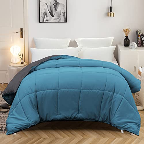 MOHAP Couette Bicolore 4 Saisons Couette d'été Légère 450g/m² 220x240cm Hypoallergénique Lac Bleu + Gris Foncé Couette de Lit Réversible 2 Personnes Edredon