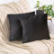 2er Set Kissenbezug 40x40 cm schwarz Samt flauschig weich Sofakissen Dekokissenbezug Kissenhülle für Couch, Schlafzimmer, Wohnzimmer & Balkon, Eclipse, mit verstecktem Reißverschluss