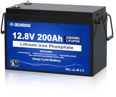 DC HOUSE 12V 200Ah Lithium LiFePO4 Deep Cycle Battery, Low Temp Cut Off, with 2560Wh Energy Max. Built-in 200A BMS for RV, Solar, Home Energy Storage, Marine Trolling Motor, Boat, Golf Carts