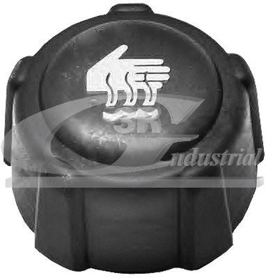 3RG 81601 Thermostat de Refroidissement