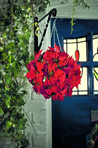 Gardman Christmas Topiary Poinsettia Decorative Ball, 26cm, Red, 1 Count