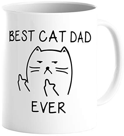 Best Cat Dad Ever,Funny Cat Lover Gifts, Funny Middle Finger Coffee Mug,Unique Birthday Gift For Dad