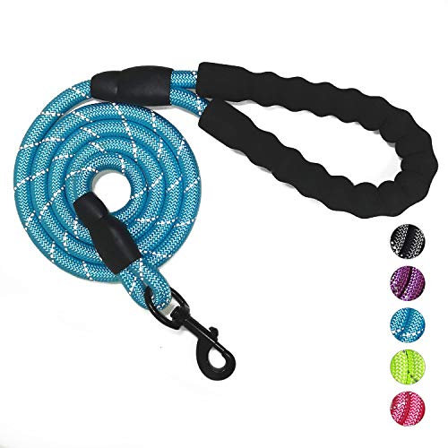 VLDCO 10FT/3M Strong Dog Leads Leash Extra Heavy Duty Rock Climbing Rope Comfortable Padded Handle Highly Reflective Threads for Small Medium Large Dogs(Blue)