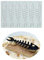 Moule en silicone 3D creux en forme de homard en forme d'arête de poisson pour bonbons, décorations de repas, fondants, argile polymère (B_16,3 x 11,1 x 0,3 cm)