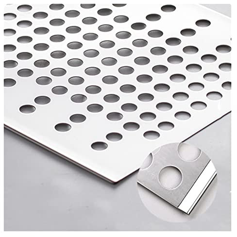RAGOPILEN Malla de Alambre, Placa Perforada de Acero Inoxidable 304 de 10 mm, espaciado de 5 mm, Color Plata, 0,8-1 mm, Varios tamaños(0.8mm,0.25x1m)