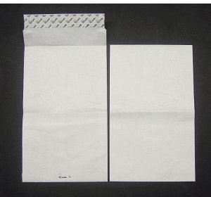 Versandtaschen Tyvek 250x381mm 54g/qm haftklebend VE=100 Stück weiß