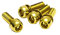 Reverse Scheibenbremsen Schraubenset 4 x M6x18mm Gold