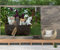 Ulticool – Katze Natur Katzen Haustier im Katzenkorb - Wandteppich Poster - 200x150 cm - Gartenposter - Wandteppich groß – Dekoration Zubehörteil für Garten und Wohnzimmer