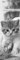 Katzen 2024 - Lesezeichenkalender 5,5x16,5 cm - Cats - Tierkalender - Lesehilfe - Alpha Edition