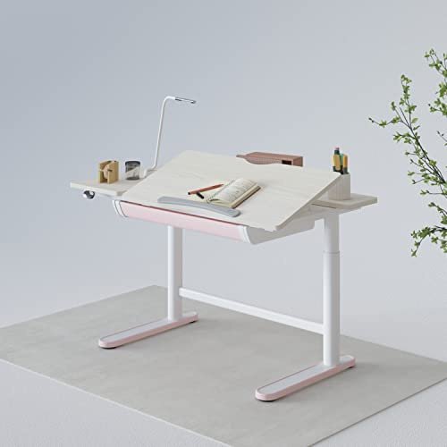 SANODESK Höhenverstellbarer Kinderschreibtisch/ergonomischer Schreibtisch - 112×60 SD2