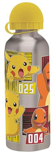 Pikachu and Charmander - Borraccia in alluminio con cannuccia, 500 ml, per la scuola