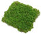 YIMOCHEN Kunstrasen 20/30 cm Kunstrasen Moos Grünland Gefälschte Gras Rasen Teppich Kunstrasen Outdoor Gras Matte Moos Teppich Im Freien Garten Dekor Kunstrasen Outdoor(20 * 20cm)