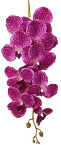 HXSCOO Eine künstliche Vanda-Schmetterlingsorchidee blüht 9 Köpfe Real Touch Phalaenopsis for Hochzeitsmittelstücke Zuhause Blumendekoration (Color : Lila)