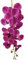 HXSCOO Eine künstliche Vanda-Schmetterlingsorchidee blüht 9 Köpfe Real Touch Phalaenopsis for Hochzeitsmittelstücke Zuhause Blumendekoration (Color : Lila)