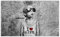 Tapete Vlies Premium Vlies 416x254cm I Love Life Banksy No.H6907Z_TV5BE