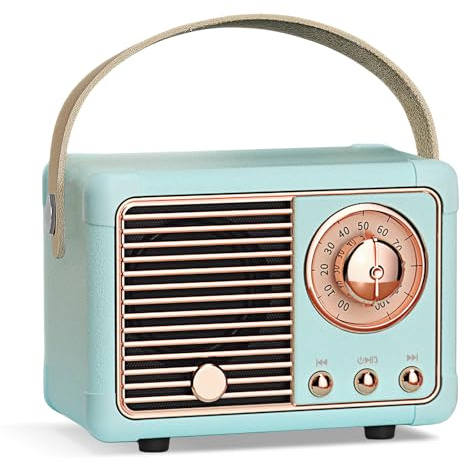 Altoparlante Bluetooth Retrò, Portatile Mini Altoparlante Wireless con Radio FM, Ricaricabile Supporta Bluetooth 5.0/USB/TF/AUX/Chiamate in Vivavoce, SAltoparlante Vintage Decorazione Della Stanza