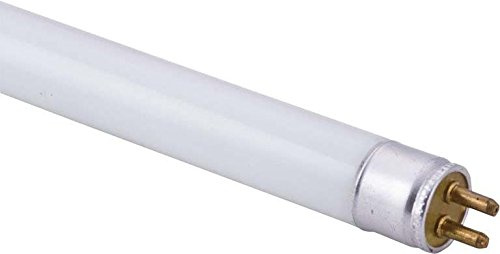 Scharnberger+Hasenbein Leuchtstofflampe T4 45049