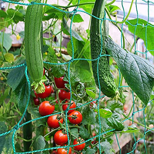 PDGROW Climbing Plant Support Net Garden Pea Bean Netting, PE Trellis Mesh for Climbing Plants, Vegetables, Fruits, Sweet Pea Plants - 2 m x 2.5 m