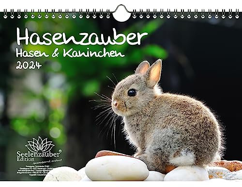 Hasenzauber Hasen und Kaninchen DIN A4 Kalender für 2024 - Seelenzauber