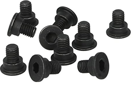 Delphi BGK005 Brake Disc Retaining Screw (X10)