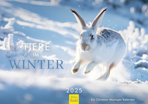 Edition Seidel Premium Kalender Tiere im Winter 2025 Format DIN A3 Wandkalender Tierkalender Wald Tier Waschbär Steinbock Hase Wildschwein Dachs Christian Müringer