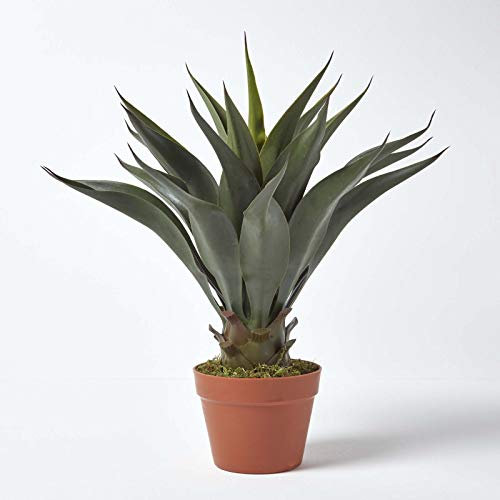 Homescapes Kunstpflanze immergrün Century Plant Agave Americana im Topf 60 cm hoch