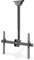 DIGITUS Soporte de Techo para TV - para TV o monitores de 37-70 - 50 kg de Carga máx. - 35 cm de Altura Ajustable - VESA 200x200 a 600x400 - Giratorio, inclinable, rotativo - Negro