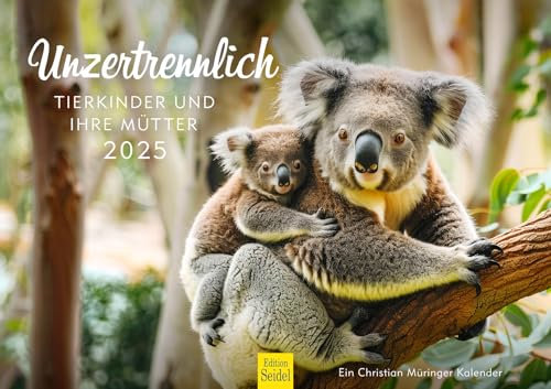 Edition Seidel Premium Kalender Unzertrennlich Tierkinder und ihre Mütter 2025 Format DIN A3 Wandkalender Tierwelt Tier Kind Mama Koala Polarfuchs Waschbär Damwild Christian Müringer