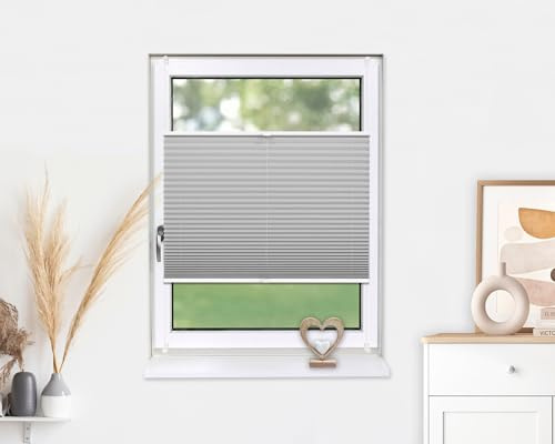 Deco-Raum Plissee ohne Bohren Klemmfix 85x210cm(BxH) Silber Jalousie Sonnenschutz Easyfix Faltrollo Lichtdurchlässig Rollo für Fenster & Tür