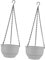 SUPVOX Lot De 2 Pots De Fleurs Chlorophytum pour Balcon Style Aureus À Suspendre en Plastique pour Décoration Dintérieur