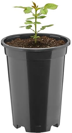 Garronda Blumentopf rund Kunststoff Ø14 x 18 cm (1,7L) mit Drainagelöchern Pflanztopf Robustes PP Pflanzgefäß für Garten Gewächshaus Balkon Anzucht Innen Außenbereich Schwarz GD-0204