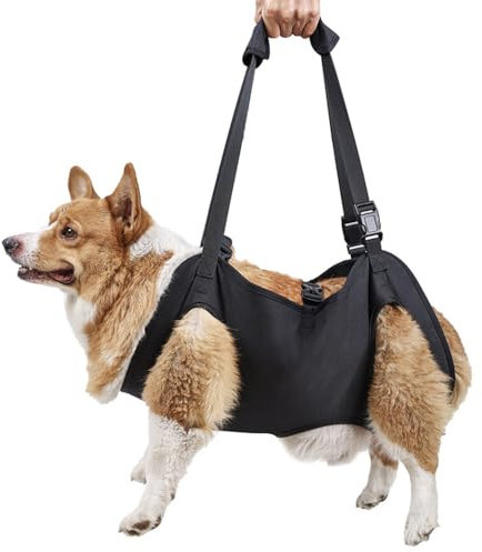 Hunde Tragehilfe Stützgeschirr, Verstellbare Gehhilfe für Hunde, Haustier Stützweste mit Leicht zu Tragender Schnalle für Alte, Behinderte Hunde mit Gelenkverletzungen