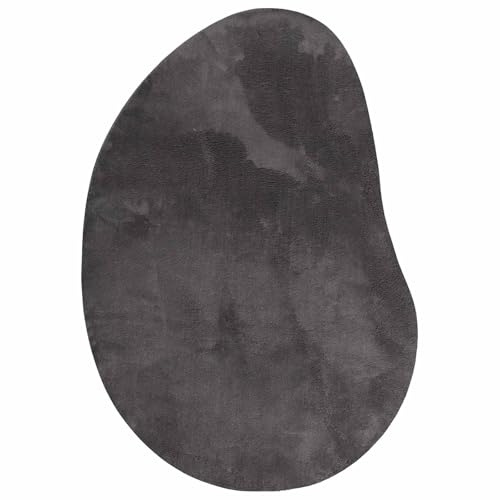 vidaXL Bereichsteppiche HUARTE Anthrazit 80 x 150 cm Polyester, Moderner Teppich für Wohnzimmer, rutschfest, faltbar, weiche Matte, langlebig, farbecht, vielseitig einsetzbar