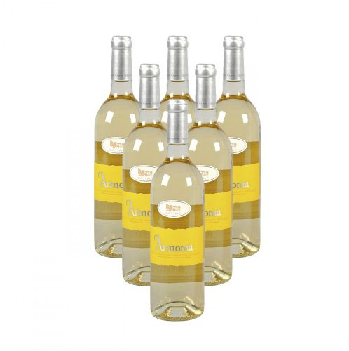 Riegel Armonia Blanc Bassac 2022 trocken (750 ml) - Bio