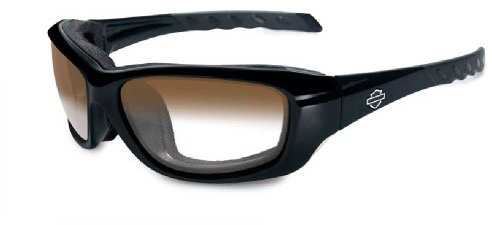 HARLEY-DAVIDSON Wiley X Gravity LA Light Adjusting Motorrad Brille