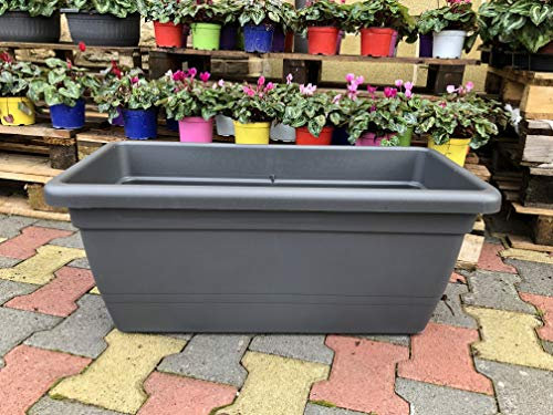 Generico FIORIERA Fioriere Vaso plastica Rettangolare da 80 CM Vari Colori Anthea da Interno e da Esterno AMDGarden (Antracite)