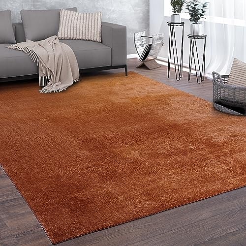 Paco Home Teppich Wohnzimmer Kurzflor Weich rutschfest Modern Einfarbiges Muster Orange, Grösse:300x400 cm