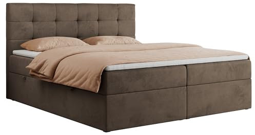 MKS MEBLE Boxspringbett 120x200 mit Bettkasten und Matratze H4, Polsterbett 120x200 mit Bettkasten, Bett 120x200 mit Stauraum und Topper - Centos - Braun Velvet