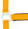 Norton Neon-Halfter, gefüttert, Farben ? Orange, Größe für Pferde ? Pferd