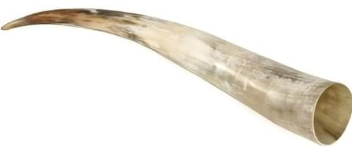 NaDeco Rinderhorn poliert 60-69cm | poliertes Kuhhorn | Stierhorn | Watussi Horn | Rinder Horn | Tierhorn
