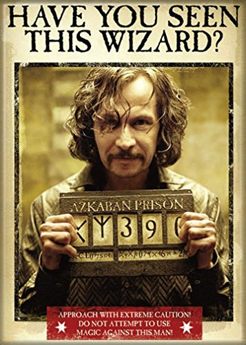 Ata-Boy Harry Potter Magnet Have You Seen This Wizard?