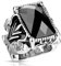 UrbanBijoux Bague chevalière Homme Acier Pierre Onyx Noire Fleur de lys Gothique - 59