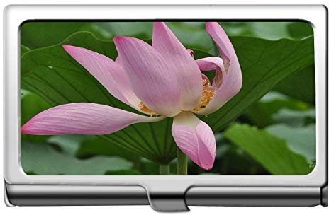 Yanteng Pink Lotus Business Name Kartenhalter 304 Edelstahl-Lotus Edelstahl-Kartenhalter