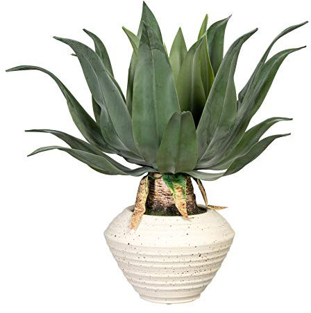 Creativ green Kunstpflanze Agave Americana in Creme-Farbiger Keramik-Schale (45 cm)