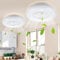 Daromigo Deckenventilator Mit Beleuchtung, 2x80W LED Stufenloses Dimmen Ventilator Beide Richtungen Drehen, mit Fernbedienung und mobiler APP, 3 Farbtemperatur 6-Gang and Timer Ventilatorlicht