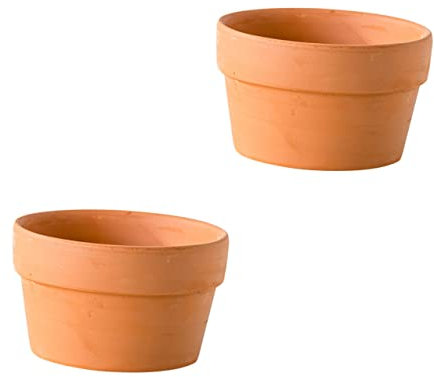 INOOMP Lot De 2 Petits Pots à Cactus en Terre Cuite, Diamètre 12,5 Cm, pour Plantes Succulentes D'intérieur Et Jardin, avec Trou De Drainage, Décoration Bureau Et Rebord De Fenêtre