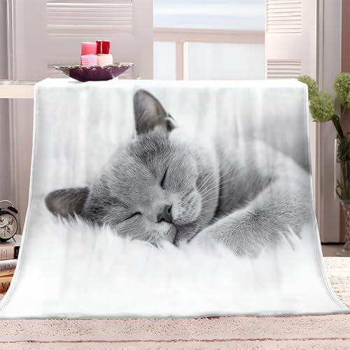 Kuscheldecke 100x130 cm Tierische Graue Katze Flauschige Weich Warm Tagesdecke Sommerdecke Sofadecke Pflegeleichte Decke für Innen & Außen