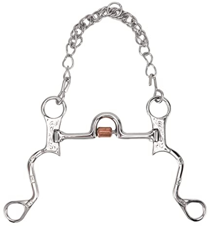 yiMANtrading Mors de Bride à Bouche de Cheval de 120 mm avec chaîne, Mors de Bride en Acier Inoxydable pour l’entraînement équestre, Mors de Cheval Durable et antirouille pour Un contrôle Doux
