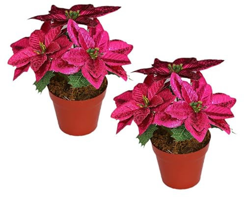 LEMCC 2PCS Artificial Poinsettia Flowers Potted, Faux Red Christmas Poinsettia Plants in Pots, Fake Poinsettia Bonsai Christmas Poinsettia Arrangements for Home Office Garden Party