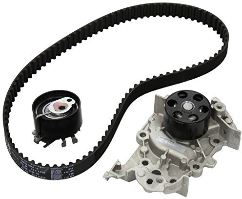 Ina 530019530 Kit Tendicinghia